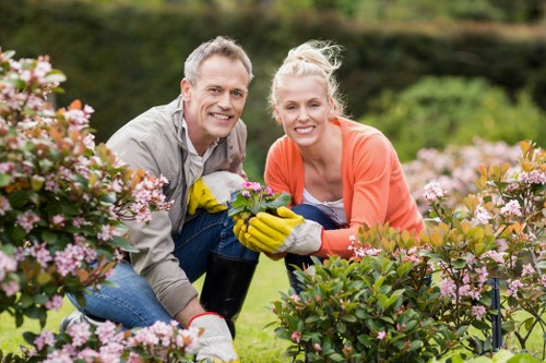 Garden design features and pathways